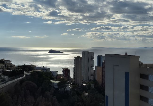 Apartamento en Benidorm - Lujoso apartamento con piscina, gimnasio y parking 