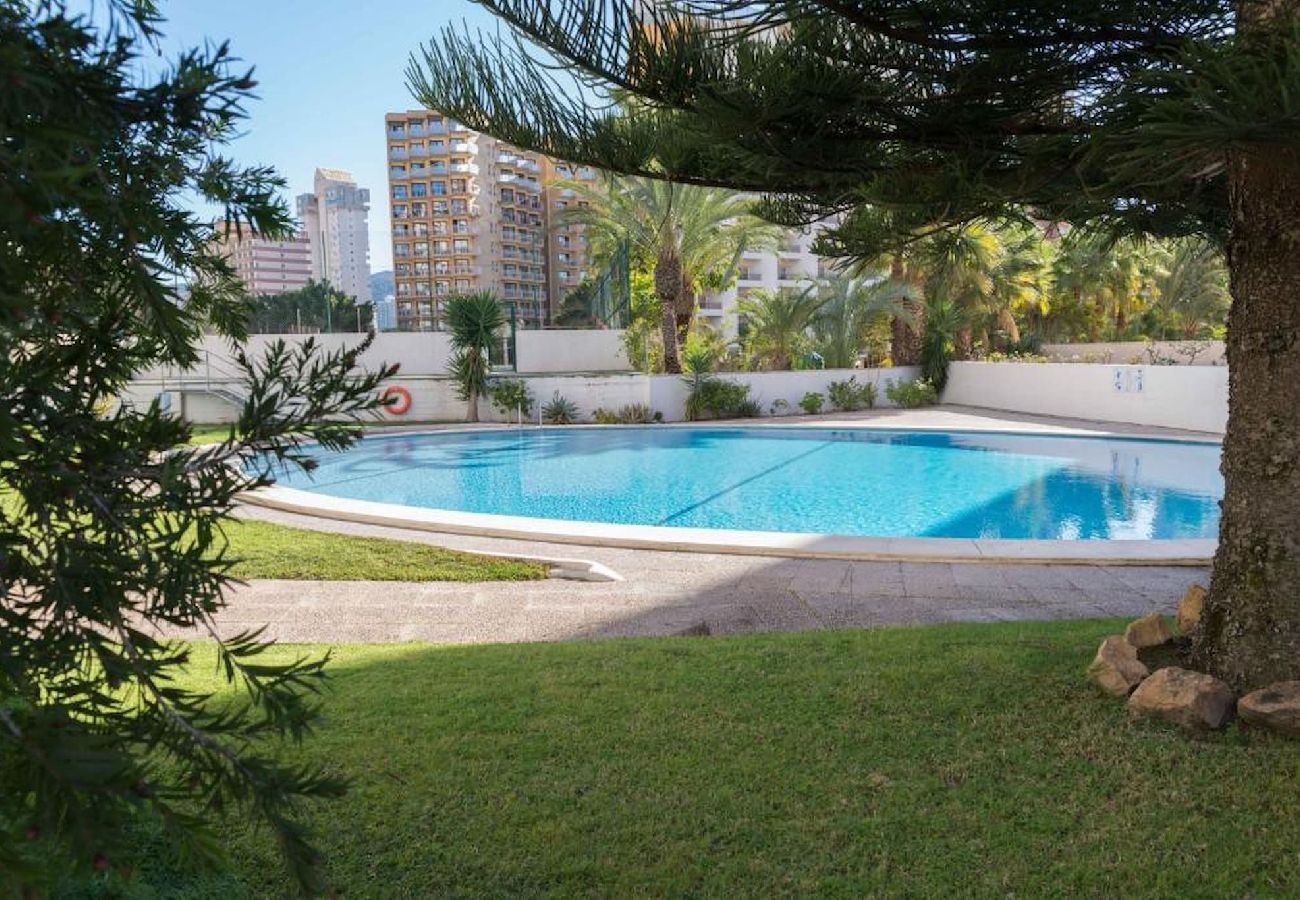 Apartamento en Benidorm - Apartamento La Niña 16 con piscina y vistas al mar 