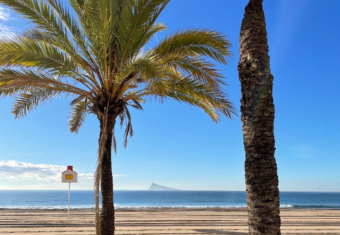 Apartamento en Benidorm - Apartamento La Niña 16 con piscina y vistas al mar 