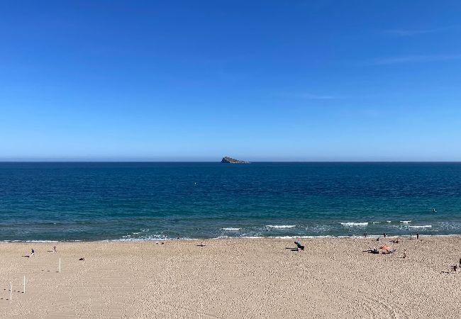 Apartamento en Benidorm - Amplio apartamento en primera línea de playa Apartamento en Benidorm - Amplio apartamento en primera línea de playa