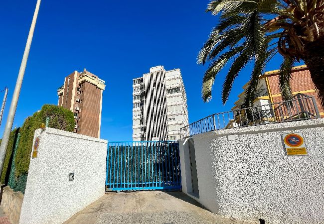 Apartamento en Benidorm - Amplio apartamento en primera línea de playa Apartamento en Benidorm - Amplio apartamento en primera línea de playa