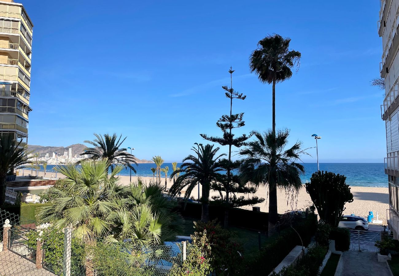 Apartamento en Benidorm - Amplio apartamento en primera línea de playa