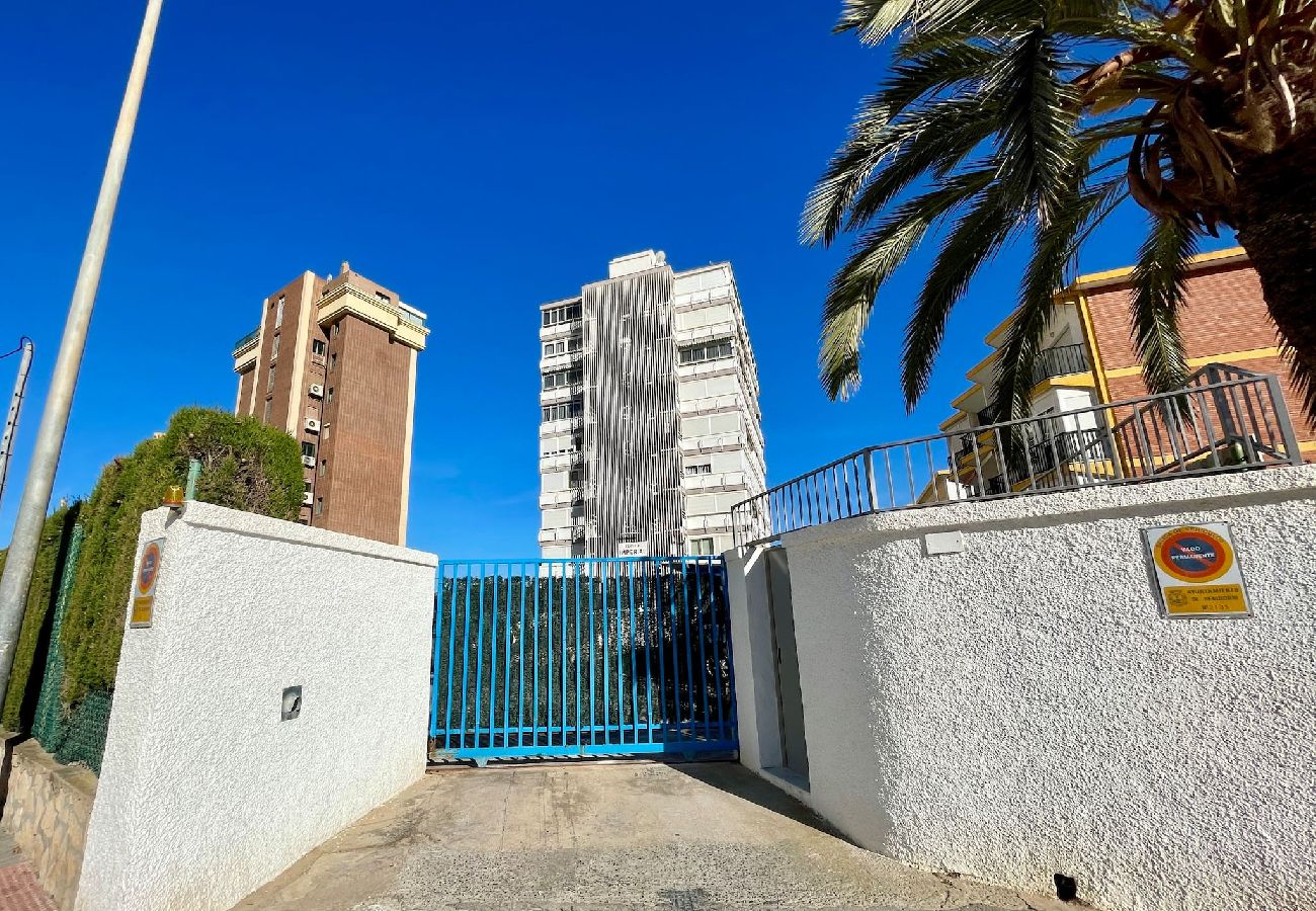 Apartamento en Benidorm - Amplio apartamento en primera línea de playa