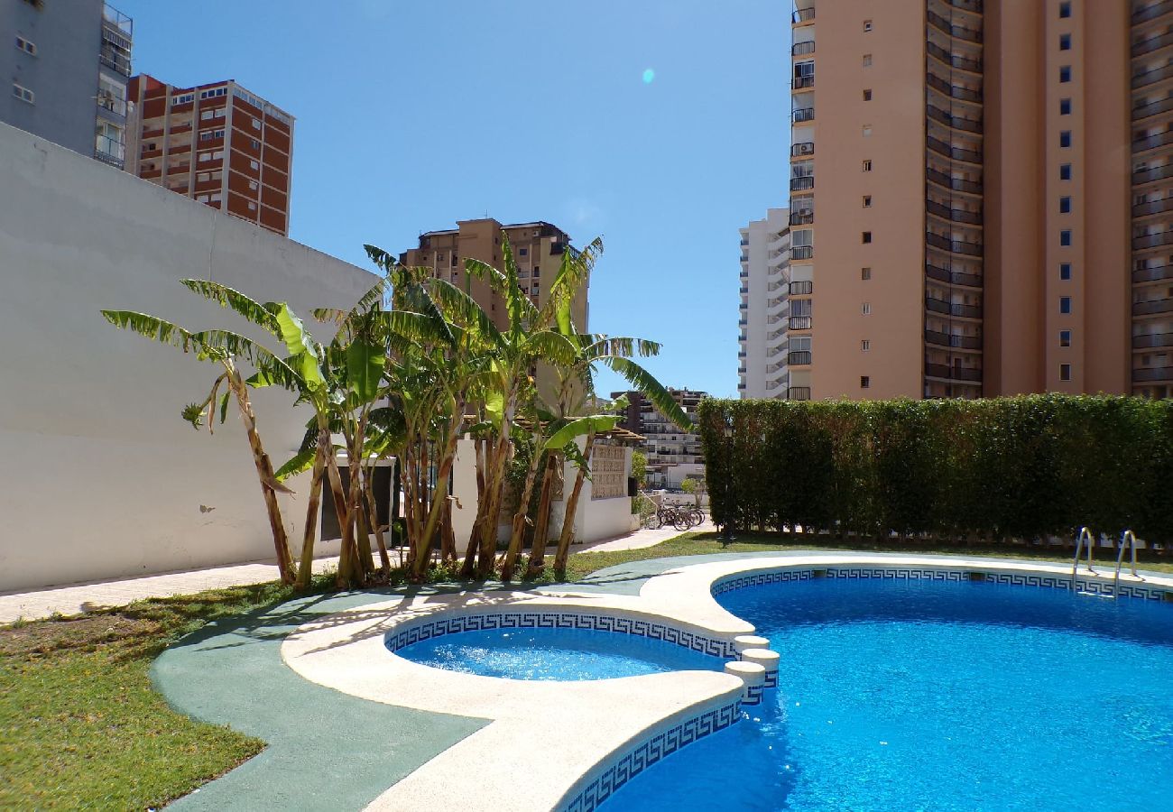 Apartamento en Benidorm - Apartamento cerca del centro en Benidorm