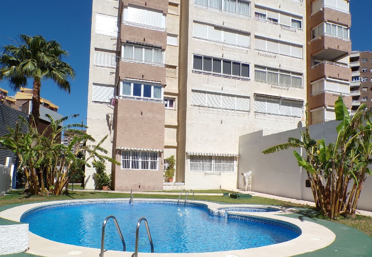 Apartamento en Benidorm - Apartamento cerca del centro en Benidorm