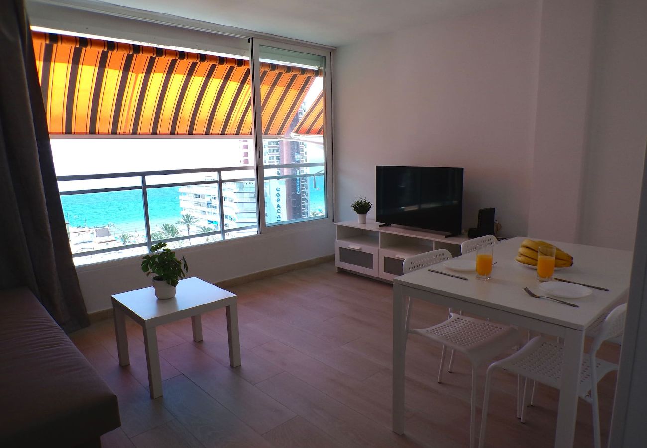 Apartamento en Benidorm - Apartamento Ducado totalmente reformado 