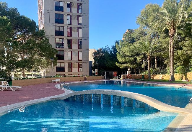Apartamento en Benidorm - Apartamento reformado en el Rincón de Loix  Apartamento en Benidorm - Apartamento reformado en el Rincón de Loix