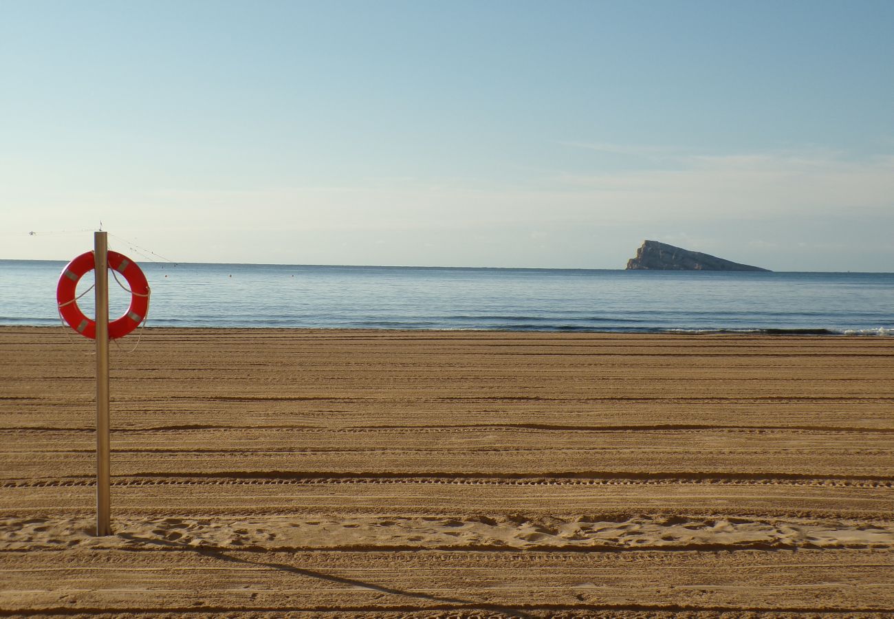 Apartamento en Benidorm - Apartamento con jacuzzi, sauna, gimnasio y piscina