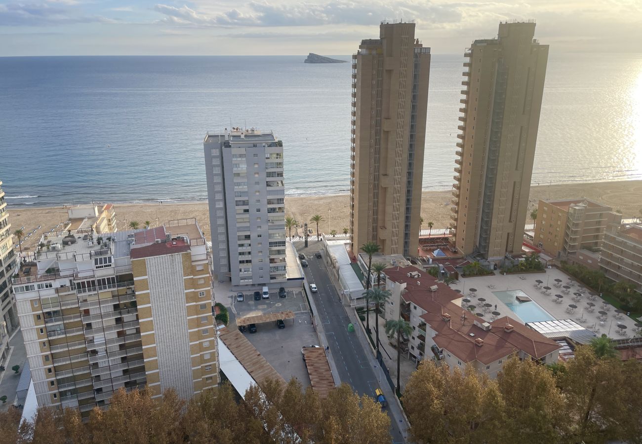 Apartamento en Benidorm - Apartamento con jacuzzi, sauna, gimnasio y piscina