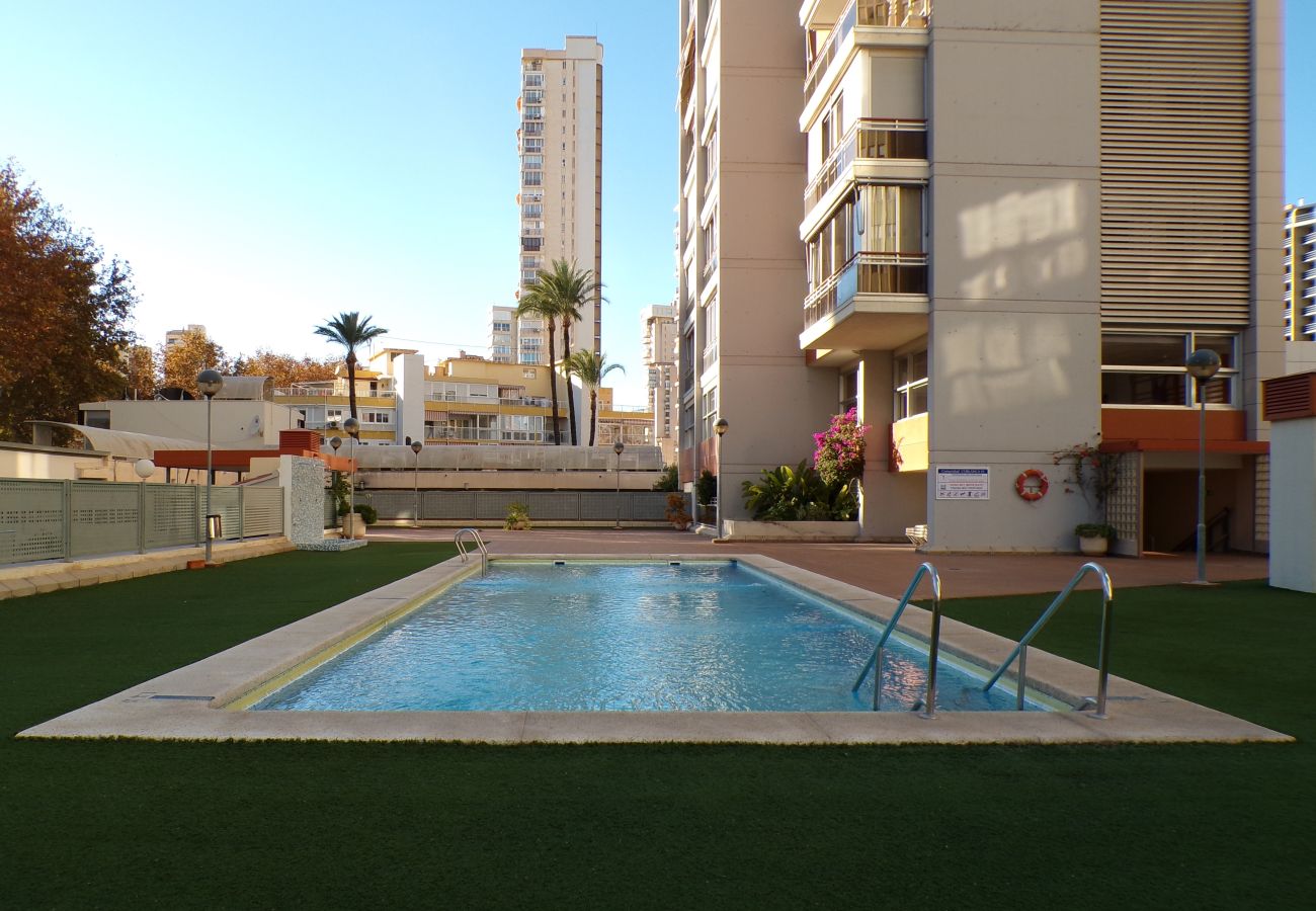 Apartamento en Benidorm - Apartamento con jacuzzi, sauna, gimnasio y piscina