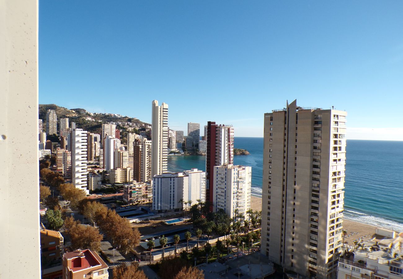 Apartamento en Benidorm - Apartamento con jacuzzi, sauna, gimnasio y piscina