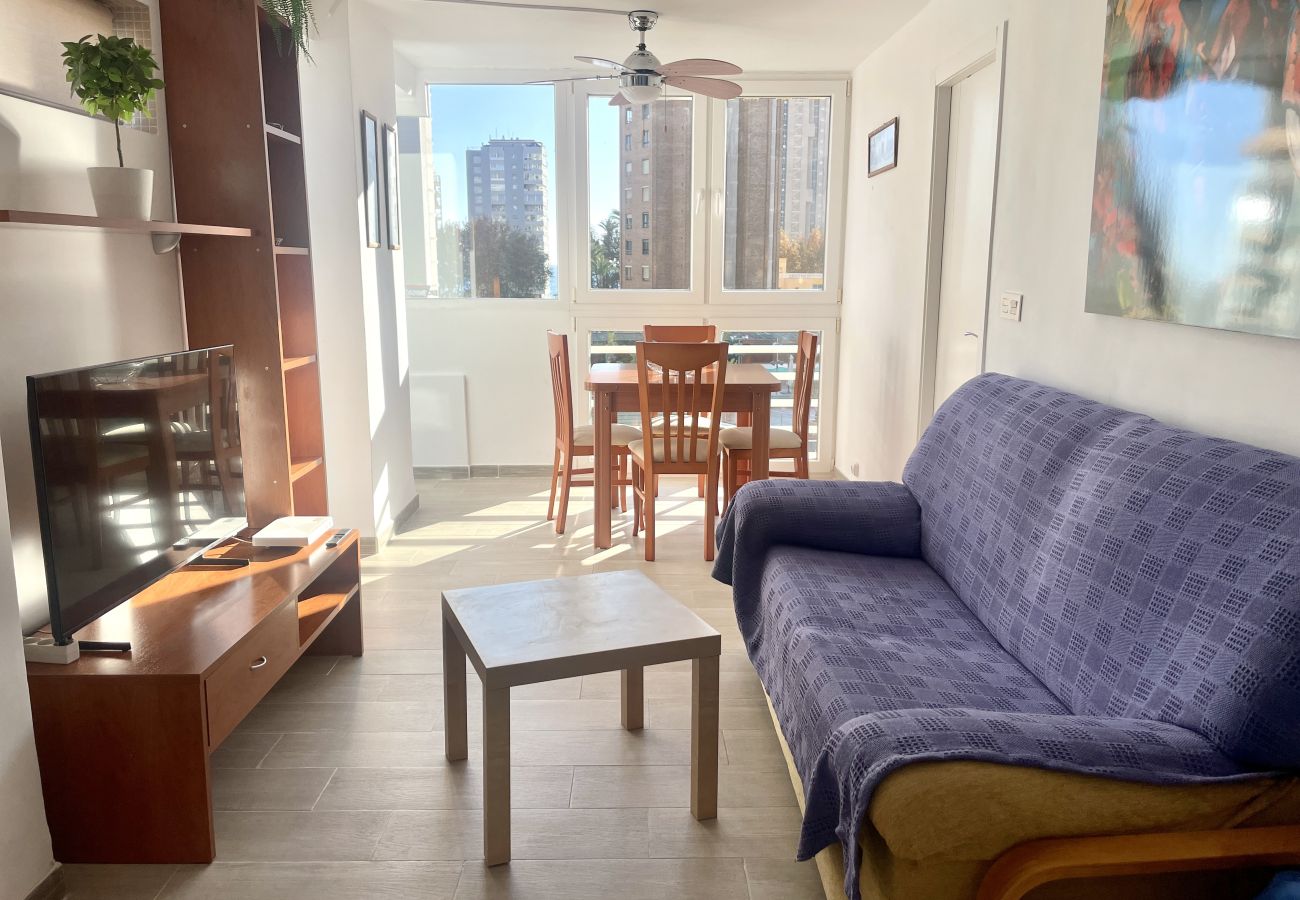 Apartamento en Benidorm - Apartamento reformado en Provima Mallorca 