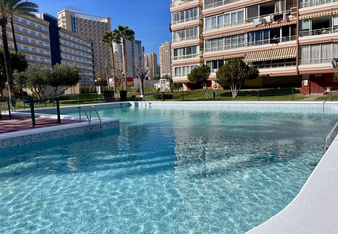 Apartamento en Benidorm - Apartamento de 2 dormitorios frente al mercado de Benidorm