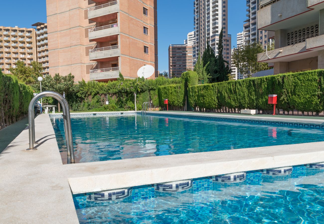 Apartamento en Benidorm - Apartamento de dos dormitorios y un baño en Mariscal 5 