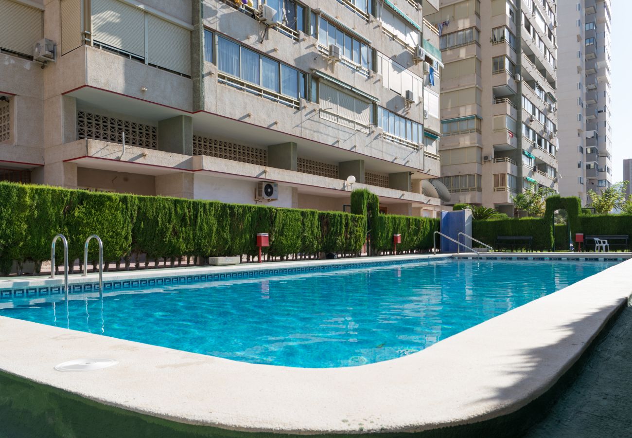 Apartamento en Benidorm - Apartamento de dos dormitorios y un baño en Mariscal 5 