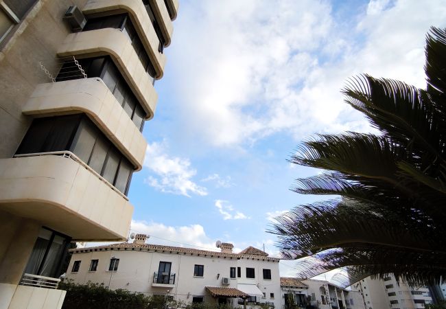 Apartamento en Benidorm - Maravilloso apartamento junto a la Cala Almadraba Apartamento en Benidorm - Maravilloso apartamento junto a la Cala Almadraba