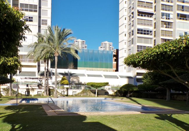 Apartamento en Benidorm - Apartamento en Gemelos 20 con parking y piscina  Apartamento en Benidorm - Apartamento en Gemelos 20 con parking y piscina