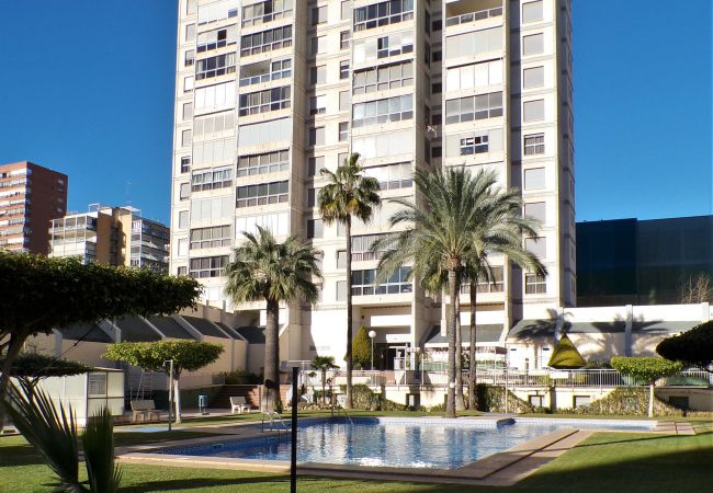 Apartamento en Benidorm - Apartamento en Gemelos 20 con parking y piscina  Apartamento en Benidorm - Apartamento en Gemelos 20 con parking y piscina