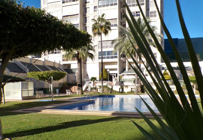 Apartamento en Benidorm - Apartamento en Gemelos 20 con parking y piscina  Apartamento en Benidorm - Apartamento en Gemelos 20 con parking y piscina