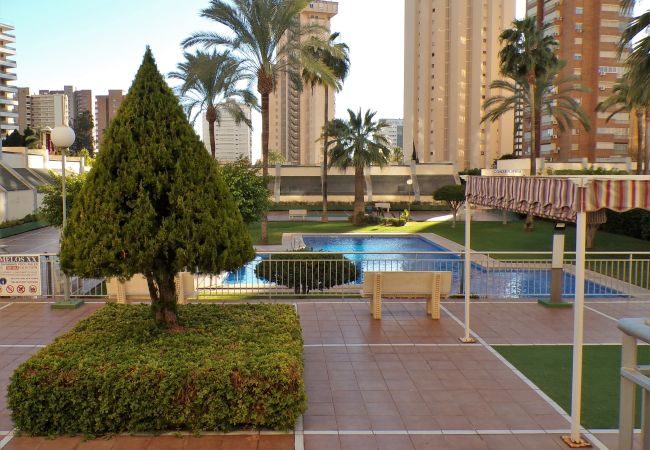 Apartamento en Benidorm - Apartamento en Gemelos 20 con parking y piscina  Apartamento en Benidorm - Apartamento en Gemelos 20 con parking y piscina