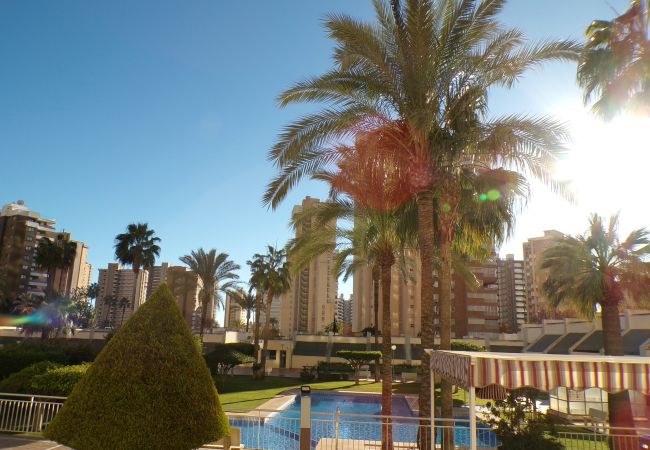 Apartamento en Benidorm - Apartamento en Gemelos 20 con parking y piscina  Apartamento en Benidorm - Apartamento en Gemelos 20 con parking y piscina