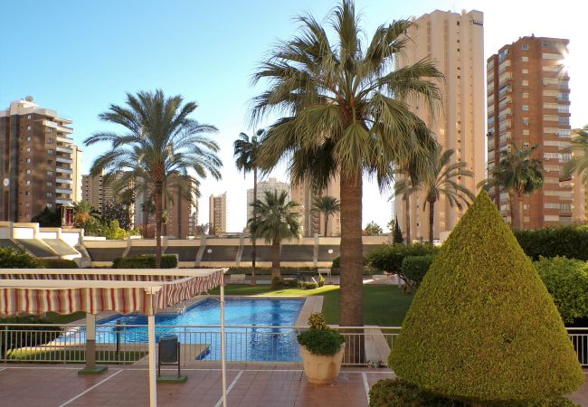 Apartamento en Benidorm - Apartamento en Gemelos 20 con parking y piscina  Apartamento en Benidorm - Apartamento en Gemelos 20 con parking y piscina