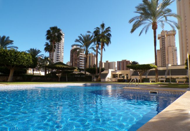 Apartamento en Benidorm - Apartamento en Gemelos 20 con parking y piscina  Apartamento en Benidorm - Apartamento en Gemelos 20 con parking y piscina
