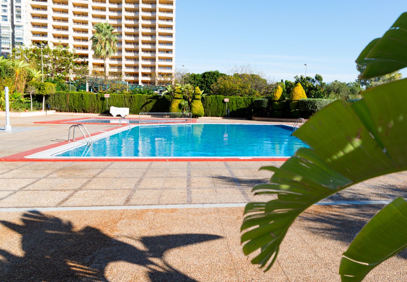 Apartamento en Benidorm - Acogedor apartamento en edificio Paraíso, Benidorm