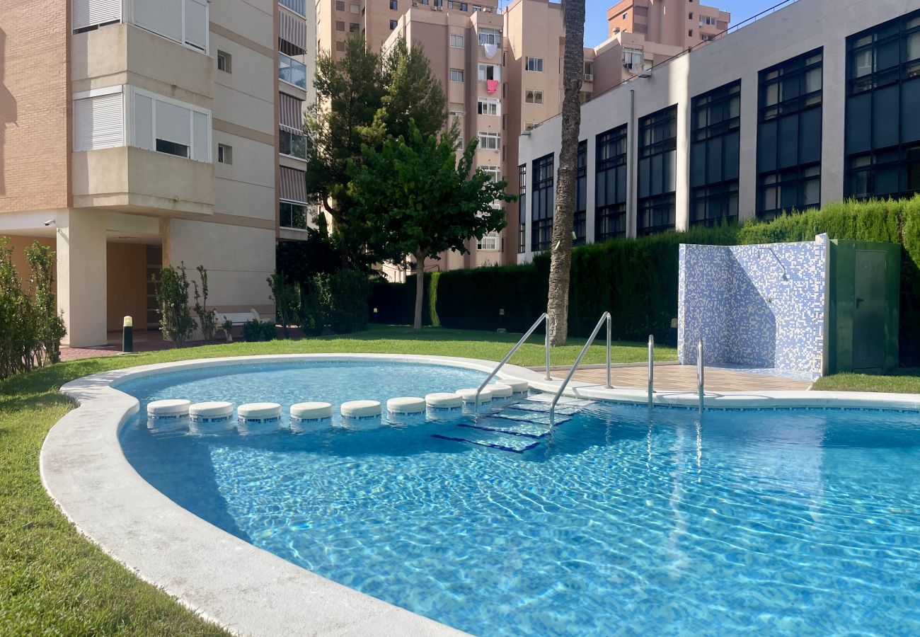 Apartamento en Benidorm - Garden Urban & Beach Benidorm