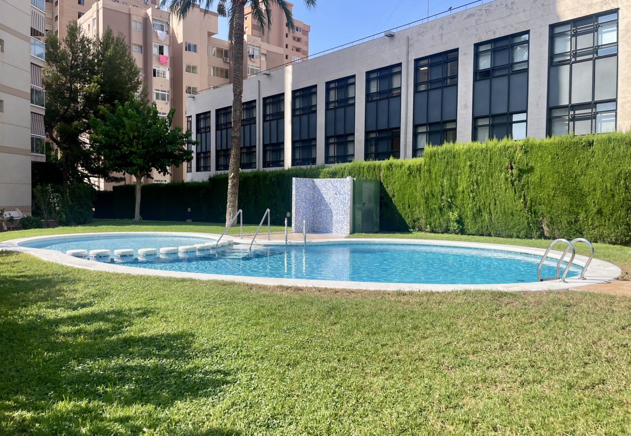 Apartamento en Benidorm - Garden Urban & Beach Benidorm