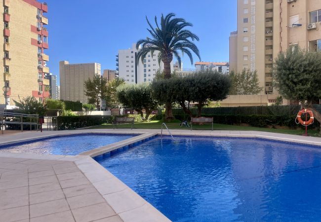 Apartamento en Benidorm - Acogedor apartamento de dos dormitorios en el corazón de Benidorm Apartamento en Benidorm - Acogedor apartamento de dos dormitorios en el corazón de Benidorm