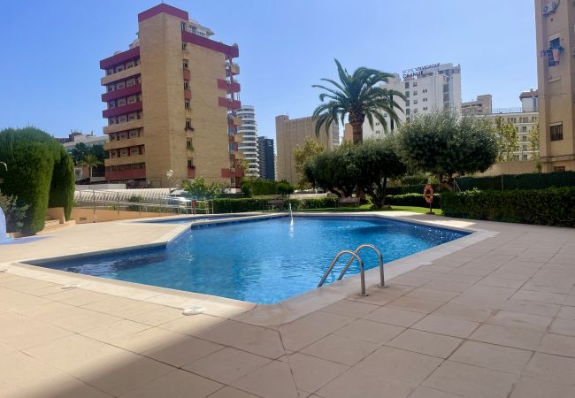 Apartamento en Benidorm - Acogedor apartamento de dos dormitorios en el corazón de Benidorm Apartamento en Benidorm - Acogedor apartamento de dos dormitorios en el corazón de Benidorm