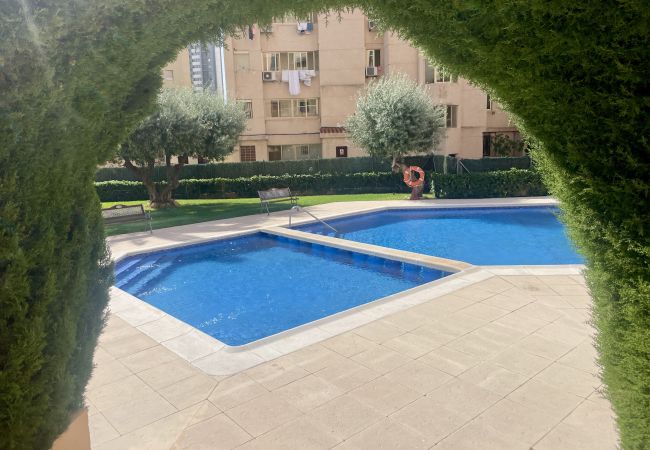 Apartamento en Benidorm - Acogedor apartamento de dos dormitorios en el corazón de Benidorm Apartamento en Benidorm - Acogedor apartamento de dos dormitorios en el corazón de Benidorm