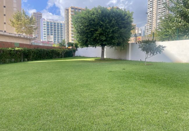 Apartamento en Benidorm - Acogedor apartamento de dos dormitorios en el corazón de Benidorm Apartamento en Benidorm - Acogedor apartamento de dos dormitorios en el corazón de Benidorm