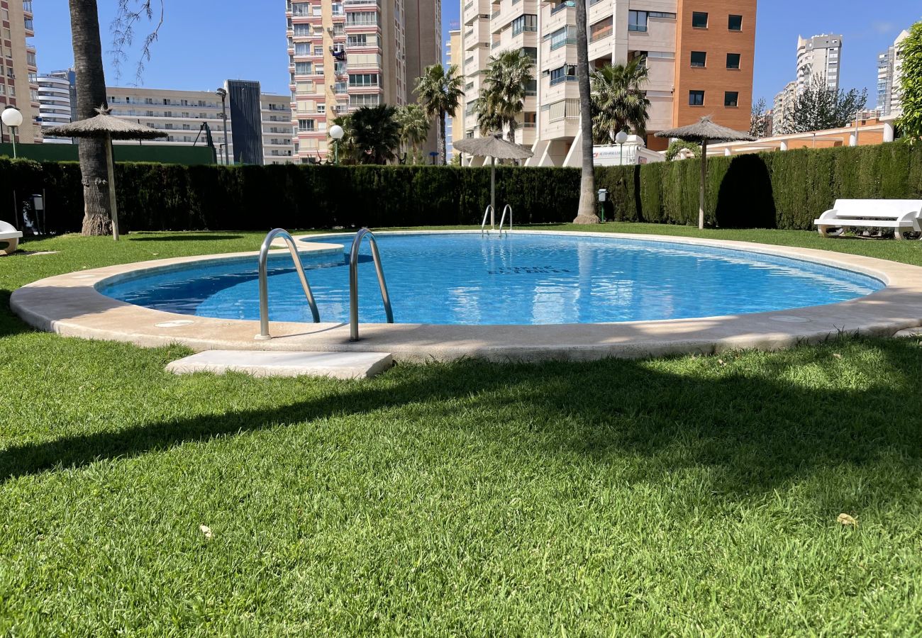 Appartement à Benidorm - Lumineux appartement au Torre Estoril 