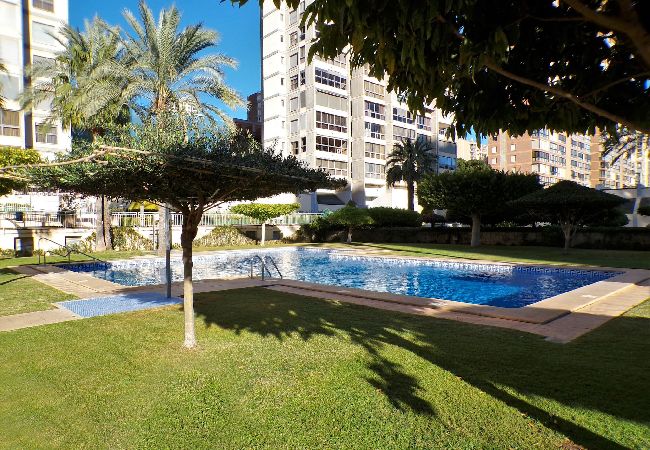 Appartement à Benidorm - Appartement de deux chambres avec piscine  Appartement à Benidorm - Appartement de deux chambres avec piscine