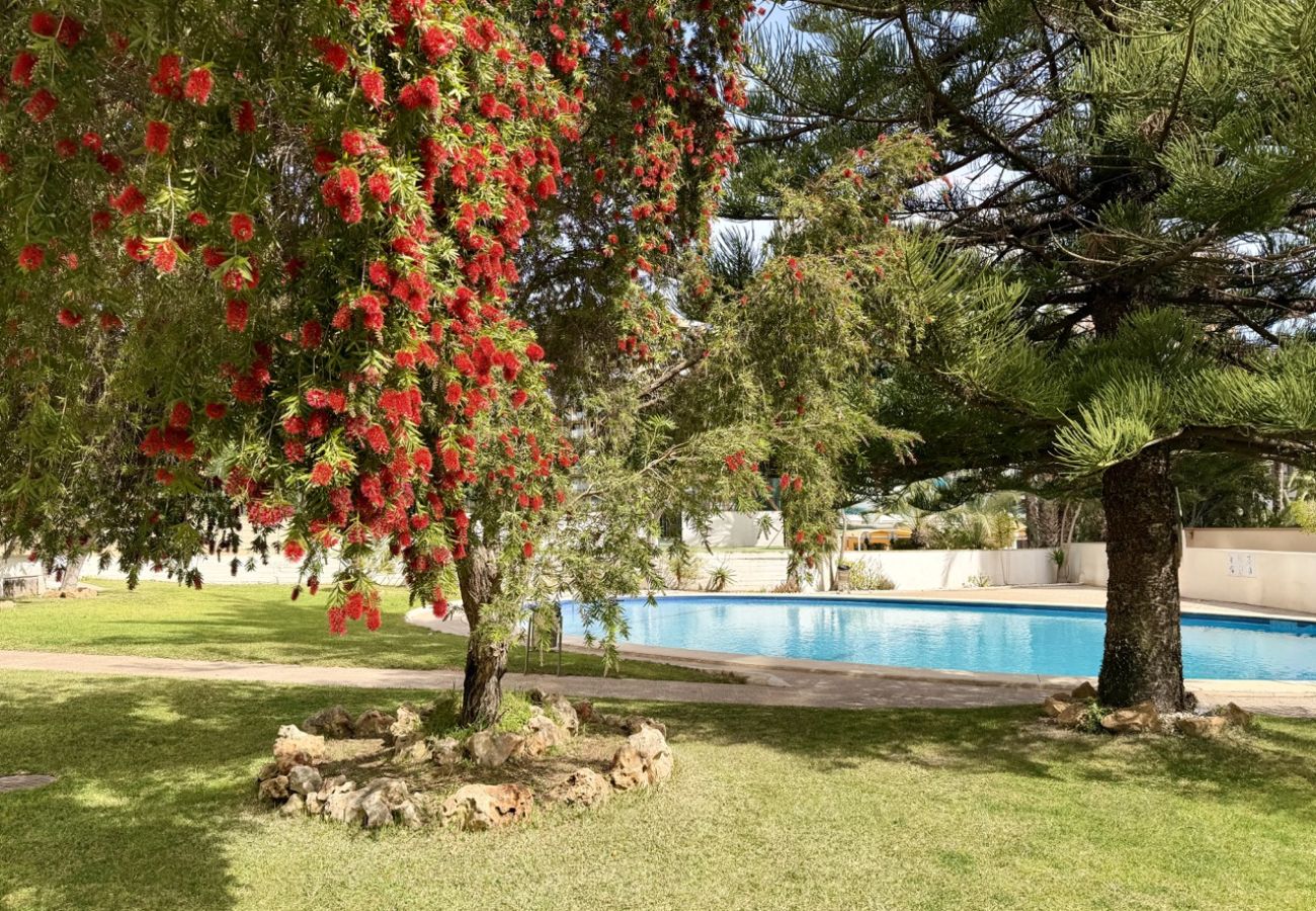 Appartement à Benidorm - Appartement avec terrasse et vue mer à La Pinta · Plage de Levante
