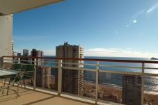 Appartement à Benidorm - Appartement avec jacuzzi, sauna, gymnase et piscine