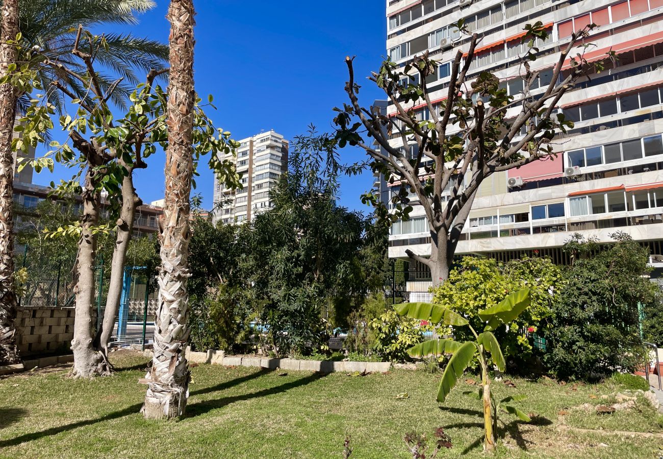 Appartement à Benidorm - Détente et confort : appartement rénové avec piscine et près de la plage