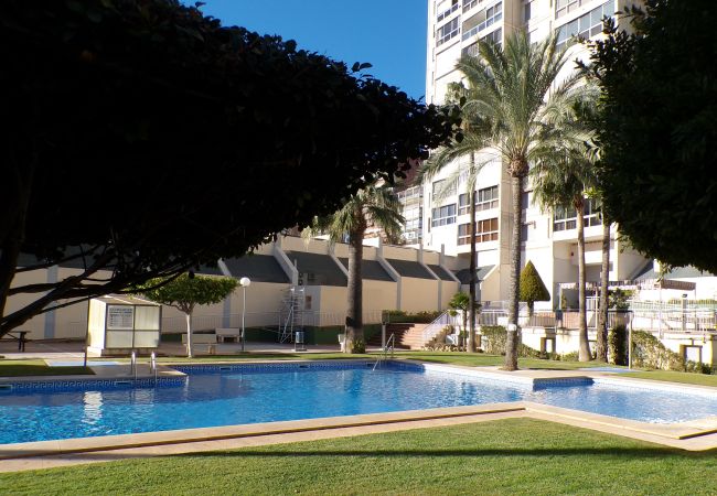Appartement à Benidorm - Appartement avec piscine et parking Appartement à Benidorm - Appartement avec piscine et parking