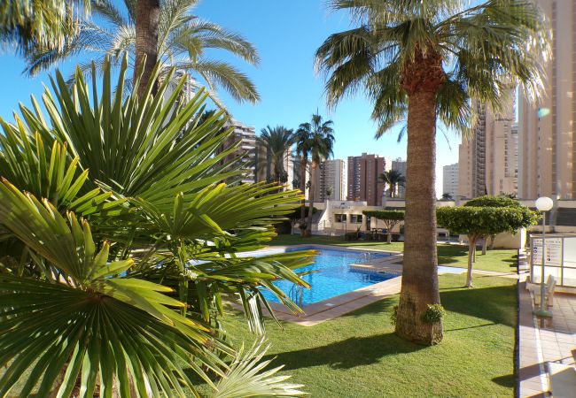 Appartement à Benidorm - Appartement avec piscine et parking Appartement à Benidorm - Appartement avec piscine et parking