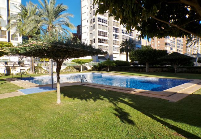 Appartement à Benidorm - Appartement avec piscine et parking Appartement à Benidorm - Appartement avec piscine et parking