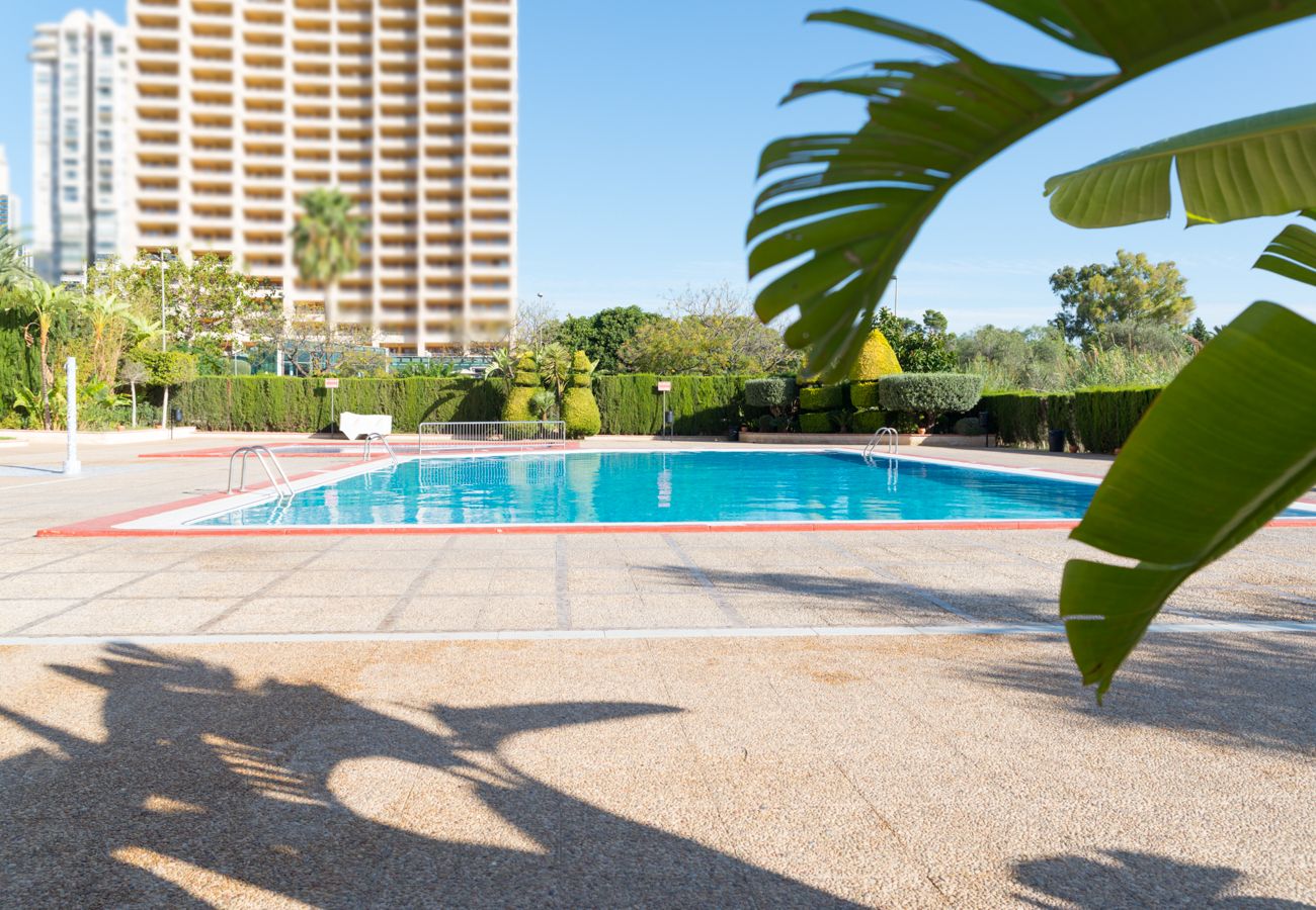 Appartement à Benidorm - Appartement comfortable au bâtiment Paraiso, à Benidorm