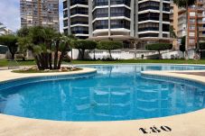 Appartement à Benidorm - Renovado, con vistas al mar y piscina