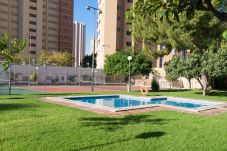 Apartment in Benidorm - Gemelos 2-4 Apartments, one bedroom 
