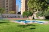 Apartment in Benidorm - Gemelos 2-4 Apartments, one bedroom  Apartment in Benidorm - Gemelos 2-4 Apartments, one bedroom