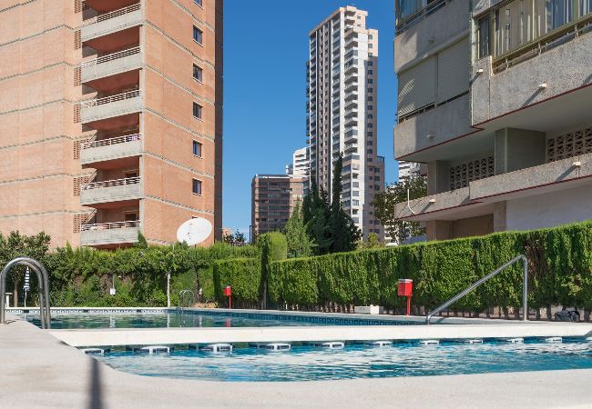 Apartment in Benidorm - Apartaments Mariscal 4 y 5 - Gestaltur  Apartment in Benidorm - Apartaments Mariscal 4 y 5 - Gestaltur