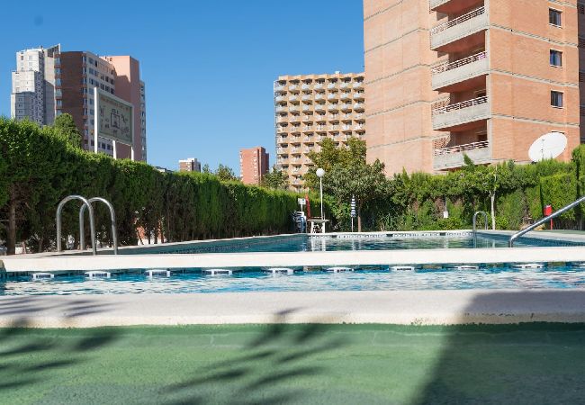 Apartment in Benidorm - Apartaments Mariscal 4 y 5 - Gestaltur  Apartment in Benidorm - Apartaments Mariscal 4 y 5 - Gestaltur