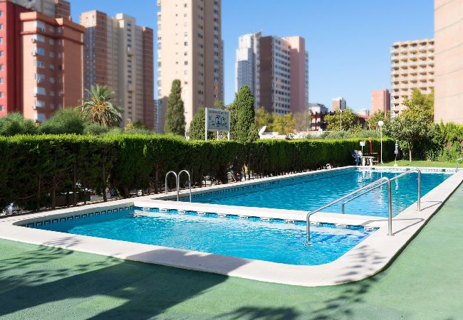 Apartment in Benidorm - Apartaments Mariscal 4 y 5 - Gestaltur  Apartment in Benidorm - Apartaments Mariscal 4 y 5 - Gestaltur