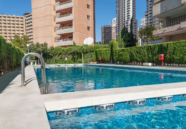 Apartment in Benidorm - Apartaments Mariscal 4 y 5 - Gestaltur  Apartment in Benidorm - Apartaments Mariscal 4 y 5 - Gestaltur